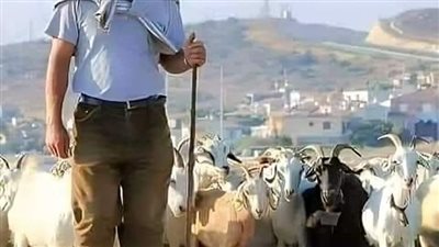رواية 