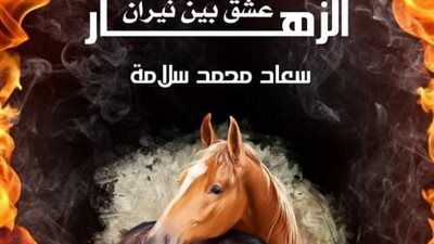 رواية الذي احب العجوز جميع الفصول كاملة