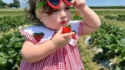 قصه البلوره الورديه كامله