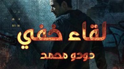 لقاء خفي بقلم دودومحمد