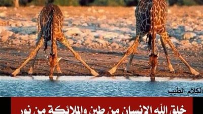 سؤال دينى مهم جدا مما خلقت lلحېۏlڼlټ ؟