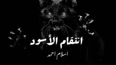 قصة القط الاسود