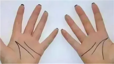 ما سر الخطوط في يدك
