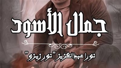 رواية جمال الأسود كامله