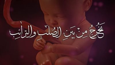ما هما الصلب والترائب ؟