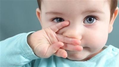 رواية علياء وفارس كاملة للنهاية