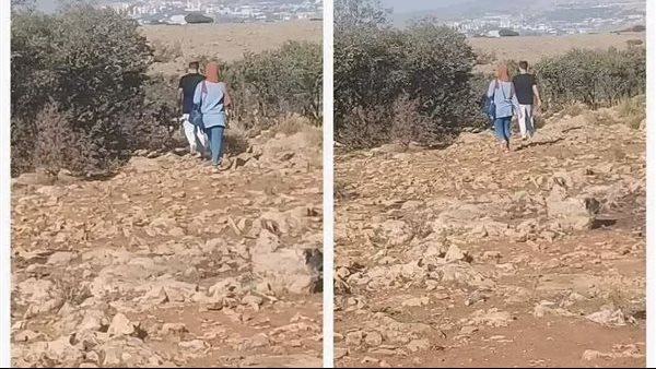 موقع أيام نيوز