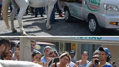 حصان حضر جنازة صاحبه الذي ټوفي بشكل مفاجئ في حاډث مروري