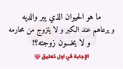 ما هو الحيوان الذي يبر والديه و يرعاهم عند الكبر و لا يتزوج من محارمه و لا يخون زوجته؟!