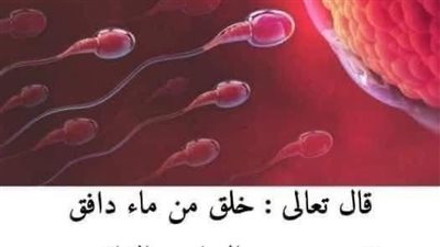 الصلب والترائب في القرآن الكريم