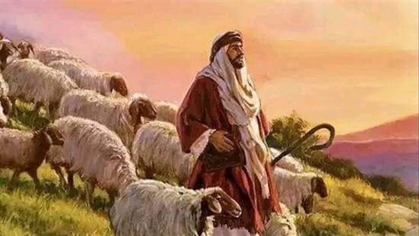 موقع أيام نيوز