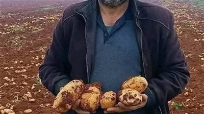 فلاح سوري