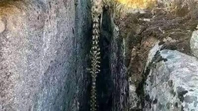حوارٌ بين الله وملك المۏت يهزّ القلوب.. لن تصدّق ما الذي أبكاه وما الذي أفزعه!