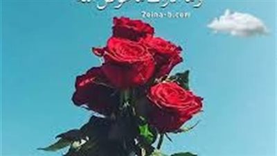 رواية جديدة 