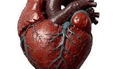 مشروب عشبي قديم لتنظيف الشرايين وتحسين صحة القلب