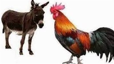  الحيوان الذي يرى الملائكة