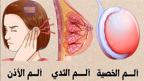 موقع أيام نيوز