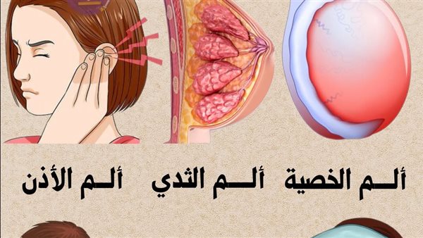 موقع أيام نيوز