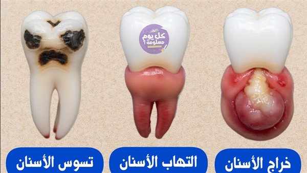 موقع أيام نيوز