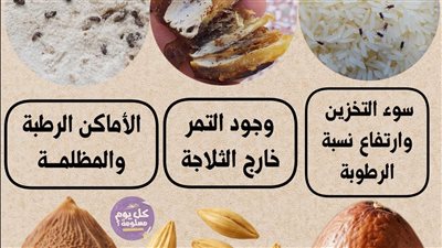سوس الأرز والتمر والدقيق وفوائد زيوت النواة وبذور الشعير: معلومات مهمة لصحة أفضل وحياة أنظف