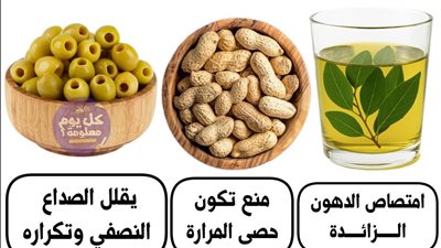 فوائد زيت الزيتون والسدر والفول السوداني والزيتون الأخضر واللوز وزيت الزيتون والأفوكادو: غذاء طبيعي لصحة أفضل