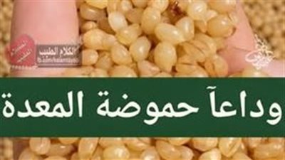 ملعقة واحدة من القمح المبرعم… علاج طبيعي لحموضة المعدة وانتفاخ القولون وتقوية المناعة