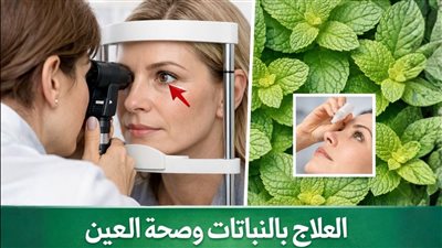 هذا هو النبات الذي يُبعد المرضى عن طبيب العيون كيف استعاد الملايين بصرهم بفضل هذا العلاج الطبيعي؟