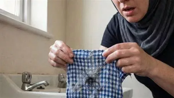 موقع أيام نيوز