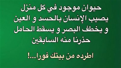 الحيوان الذي يقال إنه يصيب الإنسان بالحسد والغين… الحقيقة الكاملة بين الموروث الشعبي والعلم