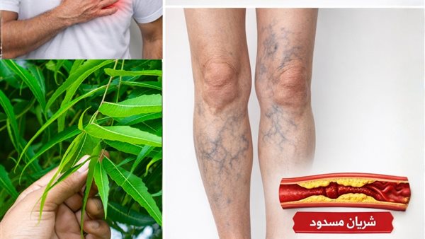 موقع أيام نيوز