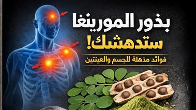 المعجزة الخضراء 12 فائدة لبذور المورينجا لن يخبرك بها طبيبك أبدًا لكنها ستغير حياتك