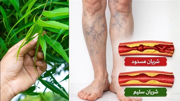 موقع أيام نيوز