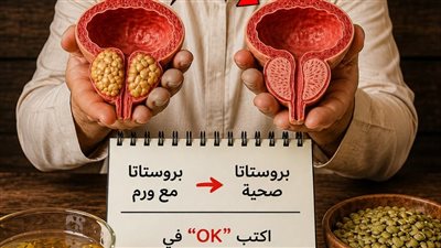 بروتوكول 