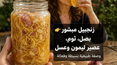 بروتوكول 