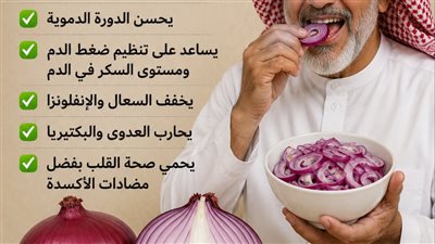 بروتوكول 