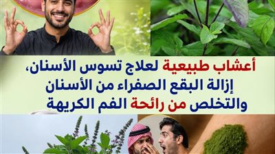 بروتوكول 