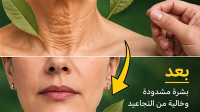 بروتوكول 