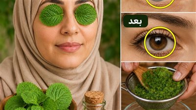 نافذة النور: لماذا لا توجد أعشاب تذيب إعتام العين؟ وكيف تبني 'درعاً طبيعياً' يحمي رؤيتك للأبد؟