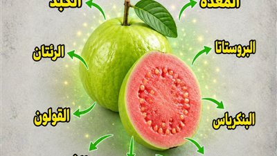 هل هي مجرد فاكهة الجوافة المعجزة التي تغفل عنها الصيدليات وتدعم كل عضو في جسدك!