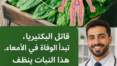 حارس الأمعاء النبتة التي تُعيد توازنك الداخلي وتطرد السمۏم بفعالية!