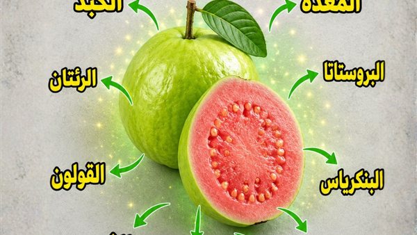 موقع أيام نيوز