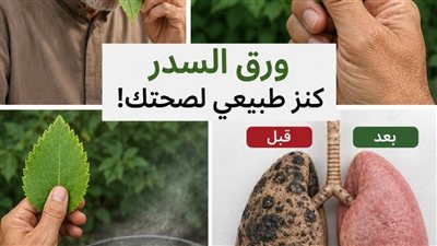 نبتة  ورقة الحياة الكنز الأخضر في حديقتك الذي لا يعرفه الكثيرون لتنظيف الرئتين