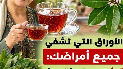 قوة الطبيعة في ورقة اكتشف المعجزات الصحية التي تخفيها أوراق الزيتون