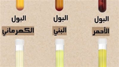 ما لا يعرفه الكثيرون لون البول هو مرآة جسمك التي تكشف أسرار صحتك يومياً!