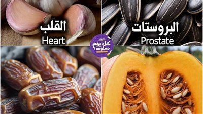 خارطة الدفاع الحيوي: الأطعمة الاستراتيجية لحماية أعضاء الجسم الرئيسية
