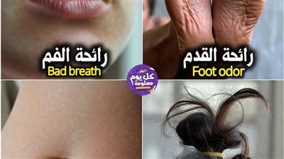 هندسة الروائح: كشف الحقائق العلمية وتصحيح المفاهيم (2026)