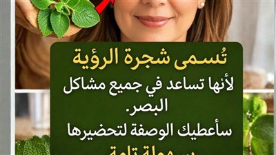 شجرة الرؤية الحقيقة العلمية لتعزيز البصر وصيانة صحة العين (2026)