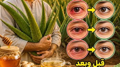 الحقيقة البيولوجية وصيانة الخلايا هندسة مواجهة الأورام وحماية البصر (2026)