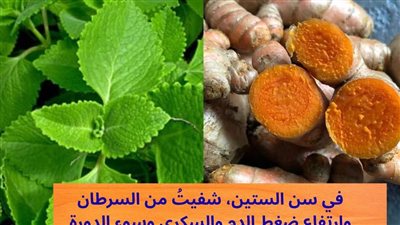 «مزيج النعناع والزنجبيل وقشور الموز»: هل هو مفتاح التوازن الحيوي بعد سن الستين؟ (تحليل 2026)