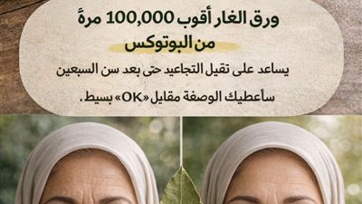 «بروتوكول أوراق الغار»: هل يمكنها حقاً تحدي التجاعيد في سن السبعين؟ (تحليل علمي 2026)